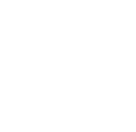 Importadora Altamira